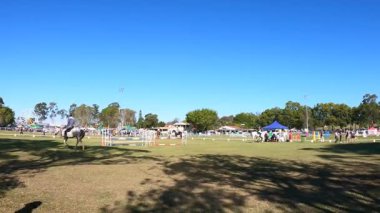 İnsanlar parkta güneşli bir günün tadını çıkarıyorlar.
