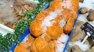 Pazarda buzdaki deniz ürünlerinin çeşitliliği