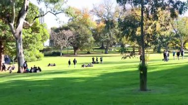 İnsanlar parkta güneşli bir günün tadını çıkarıyorlar.