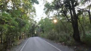 Gün batımında dolambaçlı bir orman yolunda seyahat ederken