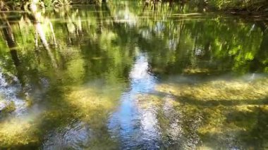 Sakin bir nehir, yoğun bir ormanın içinden akar. Güneş ışığı, suyun yüzeyinde parıldayan yansımalar yaratır.