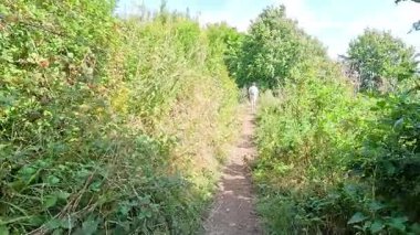 Yeşil, yemyeşil bir yolda yürüyen kişi