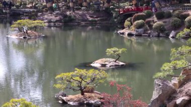 Su ve yapraklı huzurlu bahçe sahnesi