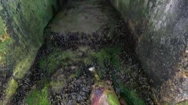 Yosunlu, dar bir taş geçidi keşfediyorum.
