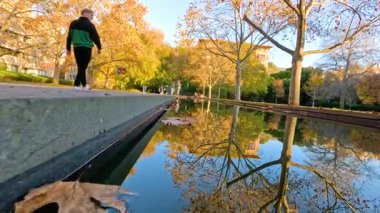 Huzurlu bir yansıtma havuzu boyunca yürüyen kişi