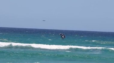 Uçurtma sörfçüsü güneşli havada dalgaların arasında süzülür..