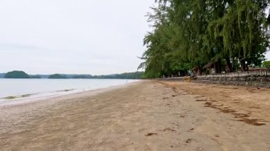 Tayland, Krabi 'de yemyeşil yemyeşil sakin bir sahil.