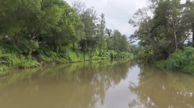 Bereketli yeşillikle manzara nehri manzarası
