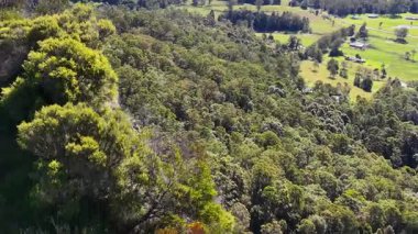 Gündüz vakti Avustralya, Nimbin 'deki yemyeşil ve kayalık kayalıkları görüntüler.