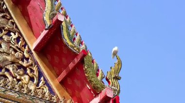 Süslü tapınak çatısına tünemiş bir kuş