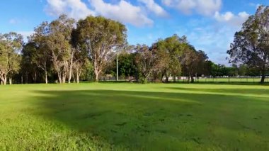 Parlak gün ışığı altında yemyeşil ve ağaçlarla dolu sakin bir park sahnesi, Avustralya Altın Sahili 'nde çekildi.