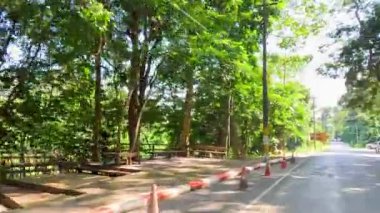 Yol işaretleri ve yemyeşil manzaralı sürüş