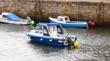 Fife limanında bir sürat teknesi hareket ediyor
