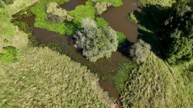 İnsansız hava aracı, güneşli bir günde yemyeşil sularla çevrili dingin bir göleti yakalar. Doğal güzellik ve sükuneti gözler önüne serer.