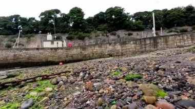 Limanı ve yeşilliği olan çakıl taşlı plaj.