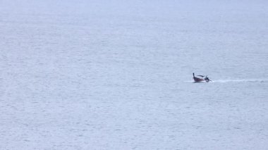 Uzun kuyruklu bir tekne Phuket, Tayland 'daki sakin okyanus sularında süzülür, sakin ve geniş açılı çerçevelerde yumuşak ışıklandırmayla yakalanır.