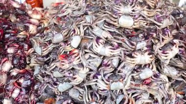 Deniz ürünleri pazarında yengeç ayıklamak ve toplamak