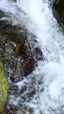 Suyun, yosunlu kayaların üzerinde dalgalı bir ışık ve sabit kamera ile çekilen doğal bir derede dalgalanan dinamik bir görüntüsü.