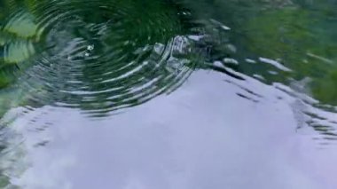 Kanaldaki yemyeşil yemyeşil suları yansıtan hafif dalgalanmalar.