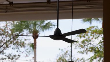 Tavan vantilatörü, palmiye ağaçlarının ve açık gökyüzünün arka planında yavaşça dönüyor.