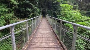 Dorrigo 'nun yemyeşil yağmur ormanlarındaki asma köprüde sakin bir yürüyüş, canlı yeşillikle ağır çekimde yakalanır.
