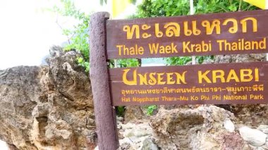 Turistler plajın ve manzaranın tadını çıkarıyorlar.