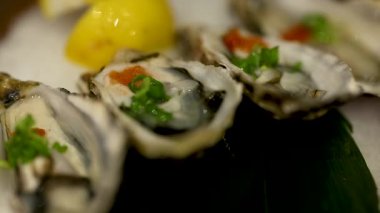 Limonlu ve garnitürlü istiridye yakın plan.