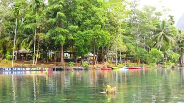 Berrak su kanalları boyunca yemyeşil kanolarla çevrili renkli kayıklar