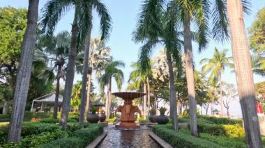 Berrak bir palmiye bahçesinde huzurlu bir çeşme