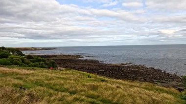 Yeşil yemyeşil manzaralı deniz manzarası