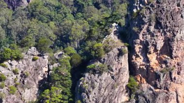 Hava görüntüleri, parlak gün ışığında Nimbin Kayaları 'nın engebeli rhyolite oluşumlarını ve gür okaliptüs ormanlarını yakalar.