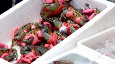 Yengeçler ve karidesler pazarda