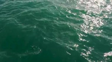 Phuket 'teki Rawai Sahili yakınlarında hafif okyanus dalgaları gün ışığında parıldıyor. Kamera ritmik hareketi ve ışıltılı yansımaları yakalar.