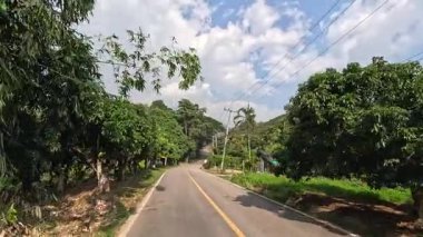 Yeşilliklerle çevrili bir yolda ilerliyor.