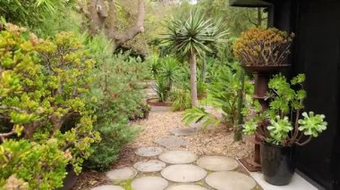 Yeşillik bahçesinde huzurlu bir yürüyüş.