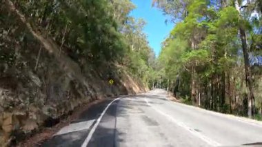 Yemyeşil orman manzarasında dolambaçlı yol