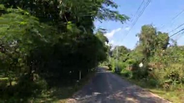 Yeşilliklerle çevrili dolambaçlı bir yolda bir yolculuk