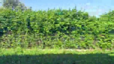 Dağları ve yeşillikleri olan güzel bir göl köyü