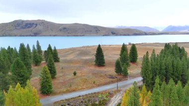 Hava görüntüleri Tekapo Gölü 'nün sakin manzarasını çam ağaçları, açık gökyüzü ve Yeni Zelanda' daki sakin sularla yakalar.