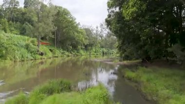 Bereketli yeşillikle manzara nehri manzarası