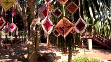 Gün ışığında ağaçlardan sarkan dekoratif hareketler