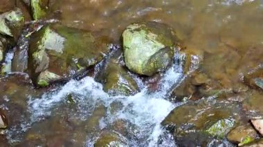 Dorrigo, NSW, Avustralya 'daki yosun kaplı kayaların üzerinde doğal ışıklandırma ve sabit kamera çalışmalarıyla yakalanan sakin bir akıntı var.