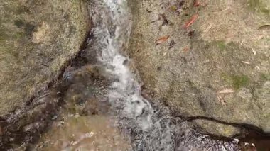 Yosun kaplı kayaların üzerinden akan dingin bir dere yağmur ormanı ortamında doğal ışıklandırma ve nazik kamera hareketiyle yakalanır.