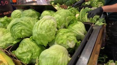 Marul tezgahında marul düzenleyen kişi