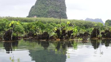 Berrak su kanalı yemyeşil ve dağlarla