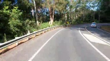 Arabalar Springbrook 'ta dolambaçlı orman yolunda yol alırlar.