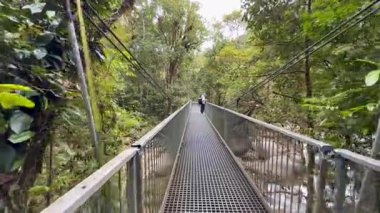 Yeşillik yağmur ormanlarında bir kişi asma köprüden geçiyor. Sahne canlı yeşillik ve dingin doğal çevreyi yakalıyor.
