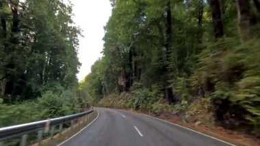 Queenstown, Yeni Zelanda 'da dolambaçlı bir yol boyunca sakin bir sürüş. Doğal ışıklandırma sakin atmosferi güçlendirir.