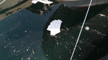 Monte Carlo sularında yüzen plastik enkaz