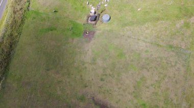 Yel değirmeni yakınlarında beslenen sığırların havadan görünüşü